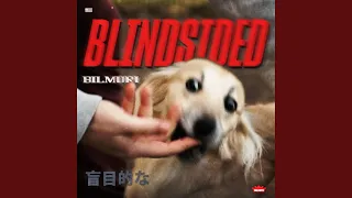 BLINDSIDED