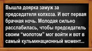 Вышла доярка замуж за председателя колхоза... Анекдоты! Юмор! Позитив!