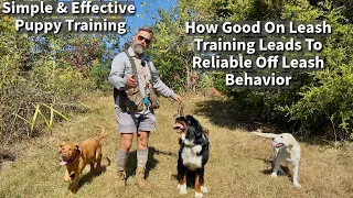 How On Leash Dog Training Leads To Off Leash Reliability When Hiking & Adventuring