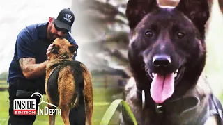 Retired Military Dogs Find New Homes Thanks to This Navy SEAL