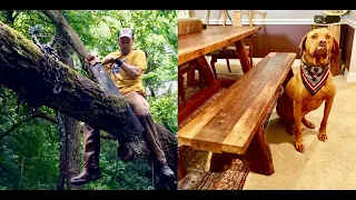 From LOG to SITTING BENCH with HAND TOOLS - ASMR