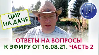 Ответы на вопросы к эфиру от 16.08.22. Прямой эфир с Гузовым Игорем Ивановичем. Часть 2