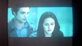 Twilight Bella und Edward im Wald