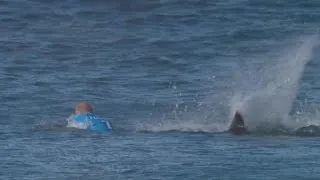 Mick Fanning after shark attack: I'll surf again for sure