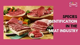 Meat Species Identification (4.16): Mandal PK