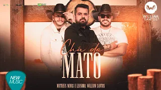 Chá do Mato - @matheusminaseleandro  William Santos