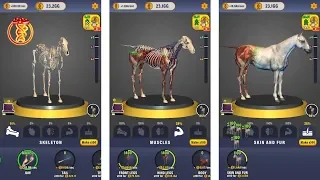 Idle Animals! Horse (by Joygame Mobile) - Android iOS Game Gameplay