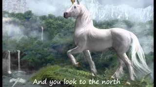 Karaoké : The last unicorn - America