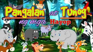 TAGALOG - Pangalan at Tunog ng mga Hayop | Animal Names and Sounds for Kids/Pambata