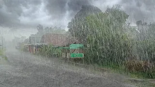 Super Heavy Rain and Strong Winds in My Village Fall asleep straight away with the sound ofheavyrain