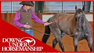 Clinton Anderson: Intermediate Testing, Groundwork Part 1 - Downunder Horsemanship