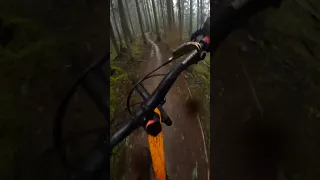 this trail feels like a rollercoaster