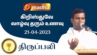 🔴 LIVE 21 April 2023 Holy Mass in Tamil 06:00 PM (Evening Mass) | Madha TV