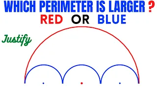 Viral Puzzle! Red or Blue Perimeter? | Justify your answer | Circumference of Circles | Fun Geometry