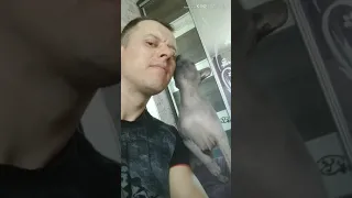 Донской сфинкс. Don sphinx and master, this is love