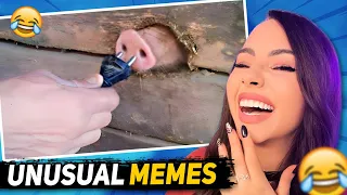 The most UNUSUAL MEMES 😂 #3 | Bunnymon REACTS