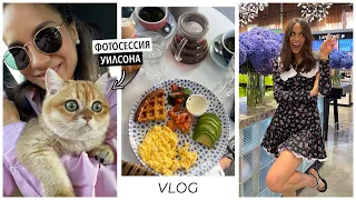 VLOG / Неделя со мной. Первая съемка у кота. Моя базовая косметичка в поездках