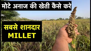 Everything About Barnyard Millet Farming | From Sowing To Harvesting | Health Benefits | हिंदी/HINDI