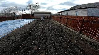 Люди крутили пальцем у Виска:Садимо картоплю 20 березня 2024 на Півночі