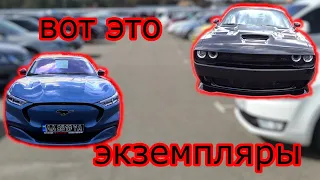 АВТОРЫНОК ПРОСЫПАЕТСЯ !!!  А ЧТО ВЫБЕРЕШЬ ТЫ...???