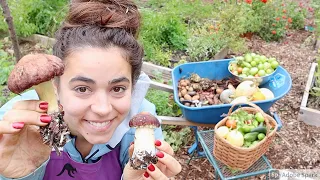 Last Garden Harvest Before Winter | Not What I was Expecting!