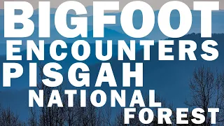 BIGFOOT ENCOUNTERS FROM NORTH CAROLINA | PISGAH NATIONAL FOREST