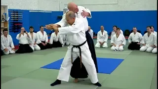 Daito-ryu Aikijujutsu seminar by Katsuyuki Kondo sensei in Moscow in October 2018