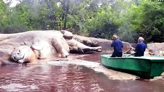 Эта Находка в Амазонке Шокировала Всех