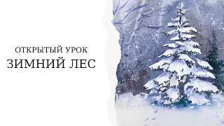 Как нарисовать елку и зимний лес | Простой урок акварели для начинающих | Быстрый скетч