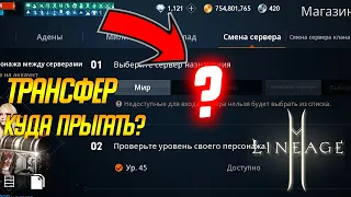 Lineage 2m: ТРАНСФЕР? КАК ПРЫГАТЬ, КУДА, ЧТО ТЕРЯЕШЬ?