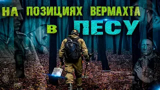 коп по войне. Позиции вермахта в лесу. ww2 METAL DETECTING