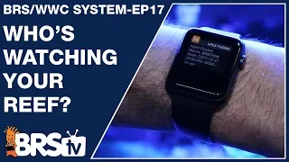 Ep17: To monitor or not to monitor your reef? Will it save your tank? - The BRS/WWC System