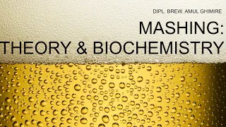 BREWING BEER: MASHING THEORY & BIOCHEMISTRY