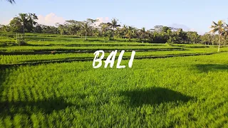 BALI 4K - RELAXATION VIDEO