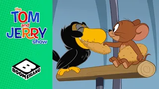 Tom & Jerry | Who's Talking? | Boomerang UK