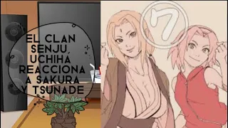 El clan senju + madara y izuna reaccionan a ✨🌸sakura y tsunade👊✨