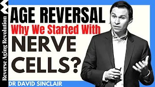 AGE REVERSAL - Why We Started With Nerve Cells? | Dr David Sinclair Interview Clips