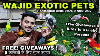 Wajid Exotic Pets Mumbai | Hand Tamed Birds | Hamsters | Rabbits & Iguanas