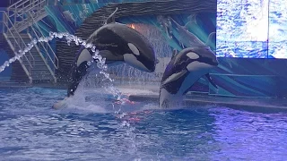 One Ocean (Full Show/Full HD) August 14, 2016 - SeaWorld Orlando