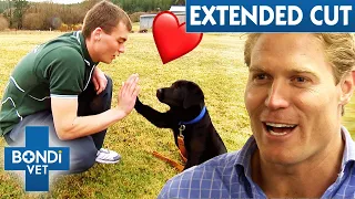 How Training And Caring For Puppies Helped Inmates Survive In Prison ❤️ Bondi Vet Extended Cuts