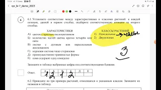 ВПР 7класс, 2024 год !!