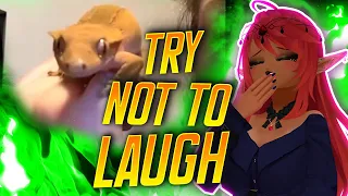 Try not to Laugh Challenge! ft my fiance