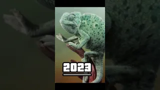 2023 chameleon and then 5000 bce chameleon #shortvideo #mythology #mythologymonkeyshorts