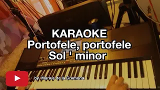 Portofelele, portofele (Sol ' min) - KARAOKE