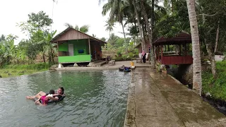 Impian Semua Orang..!! Kolam Renang Pribadi di Tengah Sawah di Kampung yang indah