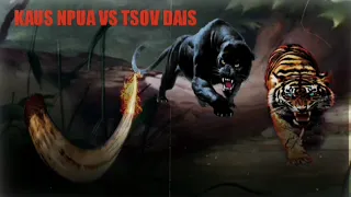 dab neeg kaus npua foob vs tsov thiab dais