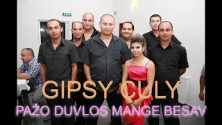 GIPSY CULY DEMO 43 2013  3