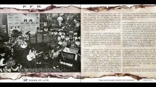 P.F.M. The Manticore Years Anthology '73-77.doppio cd