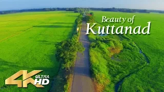 Beauty of Kuttanad - Alappuzha - 4K Aerial view