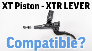 Can a Shimano XT Brake piston work in a XTR brake Lever? Lets replace the piston and find out